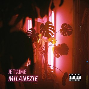 Je T'aime Milanezie