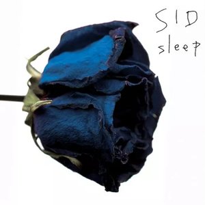 Sleep - Single