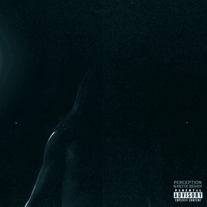 Perception (N4NTiX Remix)