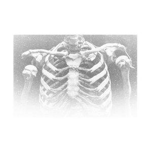 skeleton (demo)