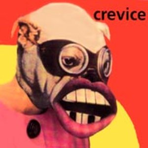 Crevice