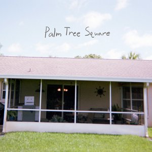 Palm Tree Square