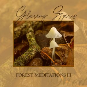 Forest Meditations III