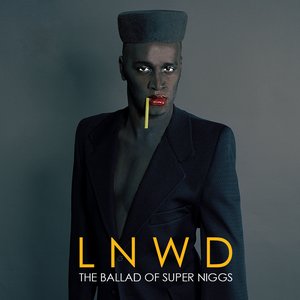 Image for 'The Ballad of Super Niggs'