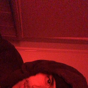 kendalltaylxr 的头像