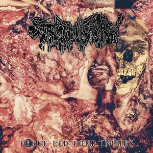 FORCE FED FOUR INCHES [Explicit]