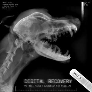 Image pour 'Digital Recovery, Part 9'