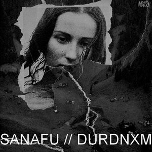 ROSE split CD-R (AMDD024)