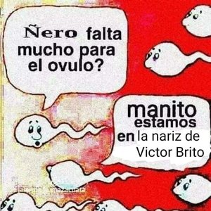 Victor Brito 的头像