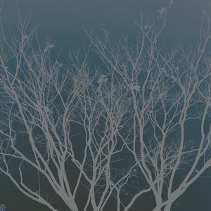 214 - Single