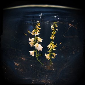 Buoyant