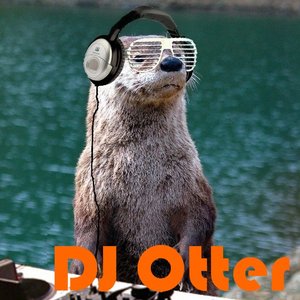 Avatar för dj otter