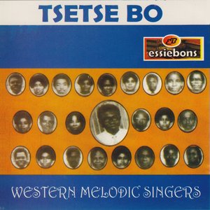 Tsetse Bo