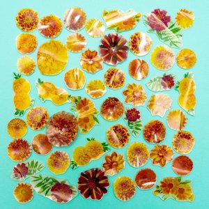 Marigold