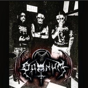 Somnum 的头像