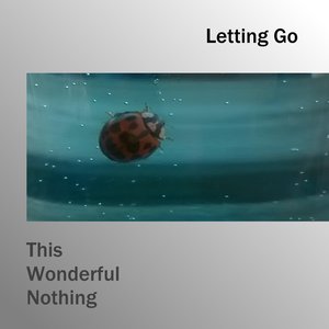 Letting Go - Single