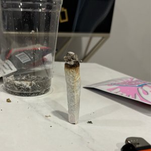 Help Ni69er 的头像