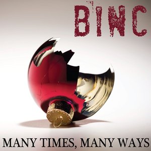 Many Times, Many Ways - Single