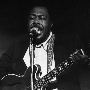 Jimmy Rogers With Ronnie Earl  and  The Broadcasters 的头像