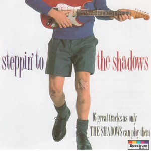 Steppin' to the Shadows cover