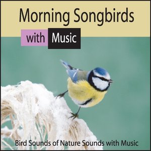 Morning Songbirds: Bird Sounds of Nature Sounds With Music