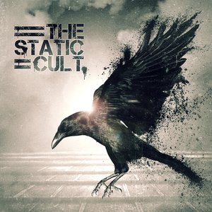 The Static Cult