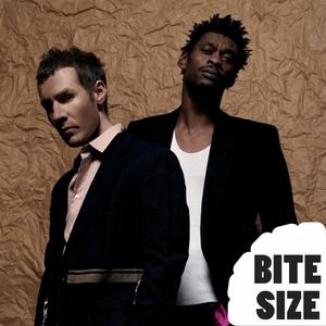 Image for 'Bite Size Massive Attack'