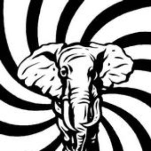 Elephant Corporation 的头像