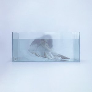 jellyfish - Single