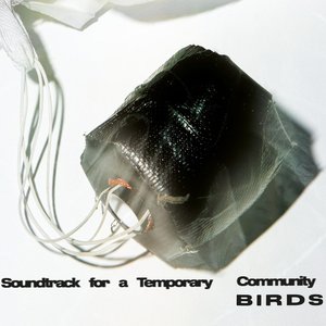 Soundtrack for a Temporary Community: Birds