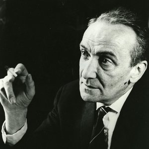 Kees van Baaren 的头像