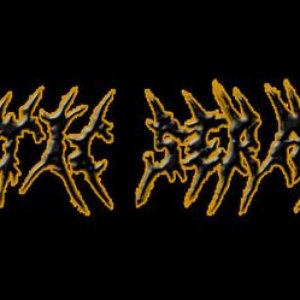 Necrotic Seraphim 的头像