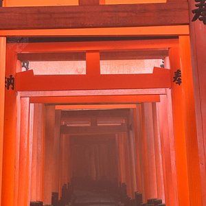 Avatar for Kiroku