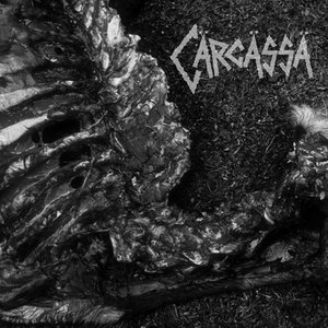 Carcassa