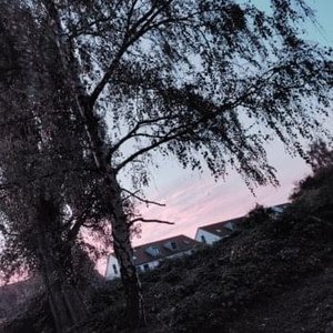 october (halloween)