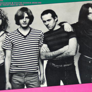 Psycotic Pineapple photo provided by Last.fm