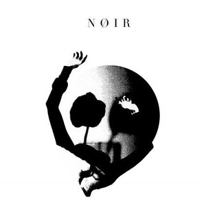 NØIR 的头像