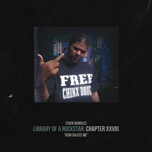 Library of a Rockstar: Chapter 28 - Icon Salute Me