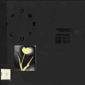 ONE TULIP// - Single