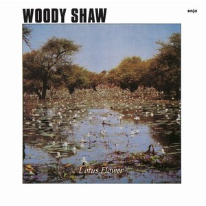 Lotus Flower (Remaster)