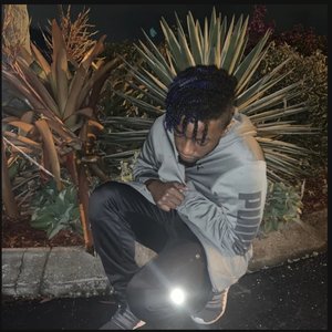 Avatar for SeanLevel