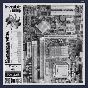 Invisible Diary