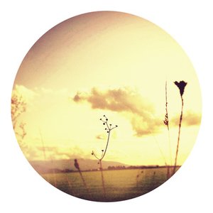 Avatar for Never Been