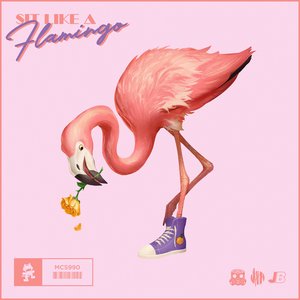 “Sit like a Flamingo”的封面