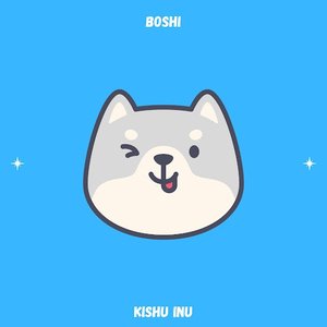 kishu inu