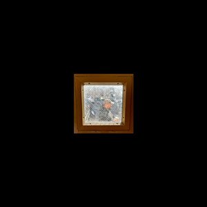 demo ii