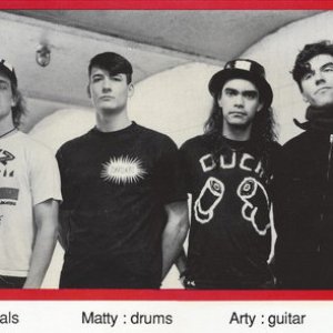 Avatar for Heads Up!