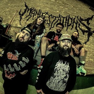 MANIFESTATIONS 的头像