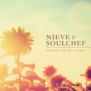 Sunflower in the Sunlight [Explicit]