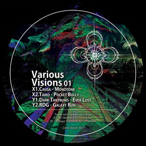 Various Visions 01 - EP